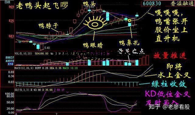 10萬炒股一年賺了500萬?“老鴨頭戰法”附實戰圖說明! 10萬炒股一年賺了500萬?“老鴨頭戰法”附實戰圖說明!
