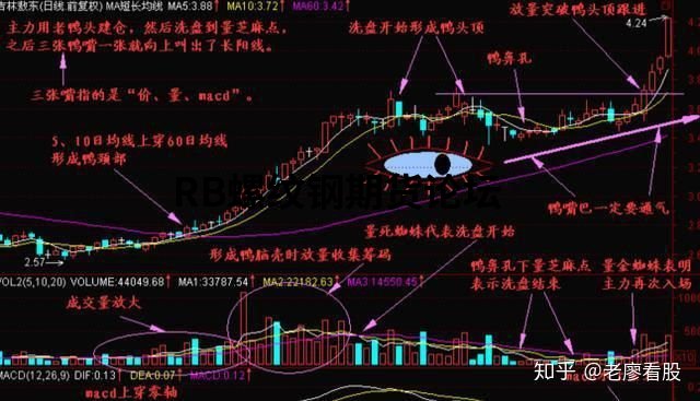 10萬炒股一年賺了500萬?“老鴨頭戰法”附實戰圖說明! 10萬炒股一年賺了500萬?“老鴨頭戰法”附實戰圖說明!