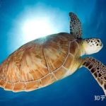 8大全球最簡單的交易系統羅列，有你采用的交易系統嗎？-RB螺紋鋼期貨交易網