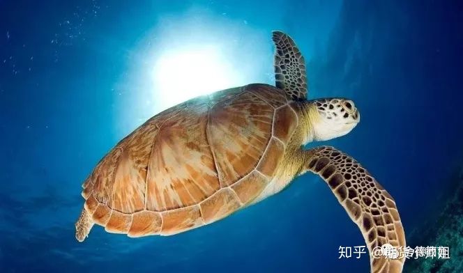 8大全球最簡單的交易系統羅列,有你采用的交易系統嗎? 8大全球最簡單的交易系統羅列,有你采用的交易系統嗎?