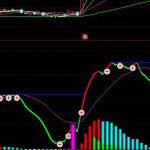 主力掃貨 機構 游資指標公式分享，看到這個柱子秒懂！-RB螺紋鋼期貨交易網