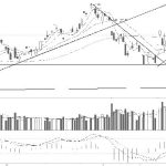 針對棉花期貨傭金比較高的問題不可掉以輕心-RB螺紋鋼期貨交易網