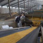 農產品期貨市場價格波動的因素-RB螺紋鋼期貨交易網