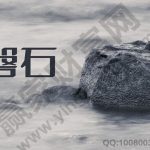 期貨的保證金是要交給誰？期貨保證金的算法-RB螺紋鋼期貨交易網