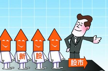 股份公司的股東有哪些權利和義務 股份公司的股東有哪些權利和義務