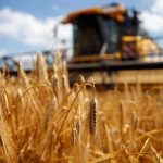 小麥期貨的交易流程-RB螺紋鋼期貨交易網