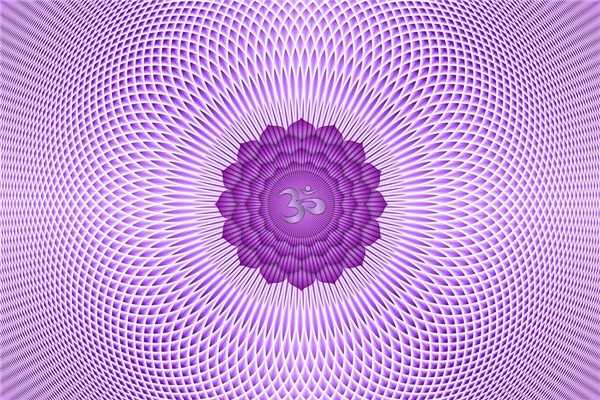 340006基金凈值查詢002498 340006基金凈值查詢002498