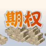 能源有期權嗎（能源期權科普）-RB螺紋鋼期貨交易網