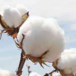 商品期貨的交易品種有哪些-RB螺紋鋼期貨交易網