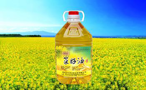 今日期貨農產品未來的走勢:棉價震蕩波動,大豆平穩運行 今日期貨農產品未來的走勢:棉價震蕩波動,大豆平穩運行