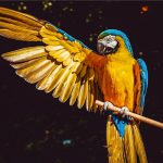 貴人鳥今天股票還可以買嗎-RB螺紋鋼期貨交易網