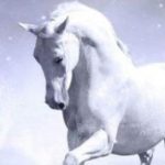恒生指數開盤時間，恒生指數定義以及走勢規律-RB螺紋鋼期貨交易網