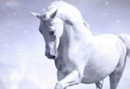 股市印花稅調整有什么新規,印花稅調整歷程 股市印花稅調整有什么新規,印花稅調整歷程