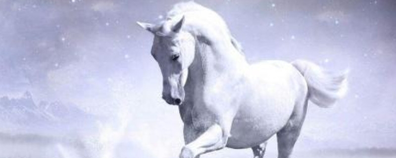 白馬股是什么?價值投資者的王牌 白馬股是什么?價值投資者的王牌