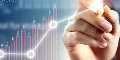 棕櫚股份：立足河南 全面發力鄉村振興-RB螺紋鋼期貨交易網