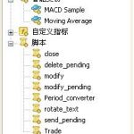 外匯MT4交易系統“通過