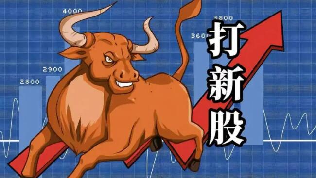 新股申購操作流程及方法 新股申購需要的兩個條件 新股申購操作流程及方法 新股申購需要的兩個條件