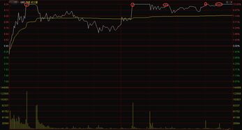 漲停股票怎么樣可以快速買進(一直漲停買不進去怎么辦) 漲停股票怎么樣可以快速買進(一直漲停買不進去怎么辦)