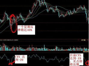 怎么用CYS指標找股票(ZXNH股票指標怎么用) 怎么用CYS指標找股票(ZXNH股票指標怎么用)