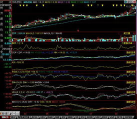 怎么用CYS指標找股票(ZXNH股票指標怎么用) 怎么用CYS指標找股票(ZXNH股票指標怎么用)