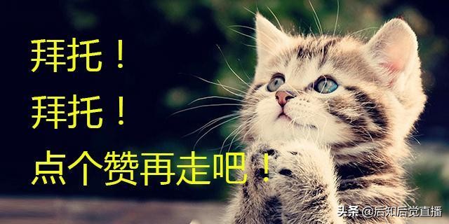 豆二期貨是對標的美國大豆期貨嗎? 豆二期貨是對標的美國大豆期貨嗎?