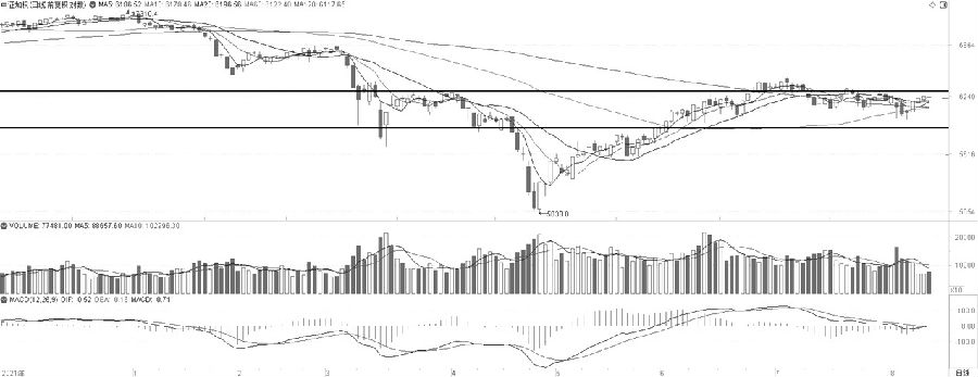 IC  強勢修整 IC  強勢修整
