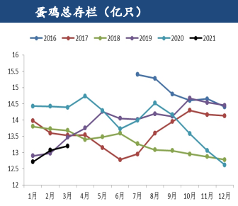 現貨市場出現疲態 雞蛋高基差或將維持 現貨市場出現疲態 雞蛋高基差或將維持