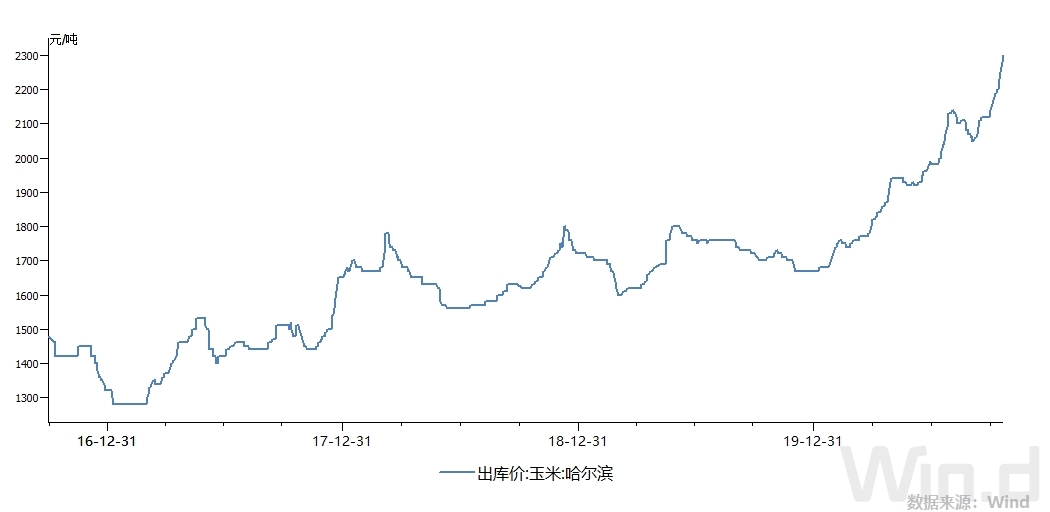 2022年玉米能漲價嗎？-RB螺紋鋼期貨交易網