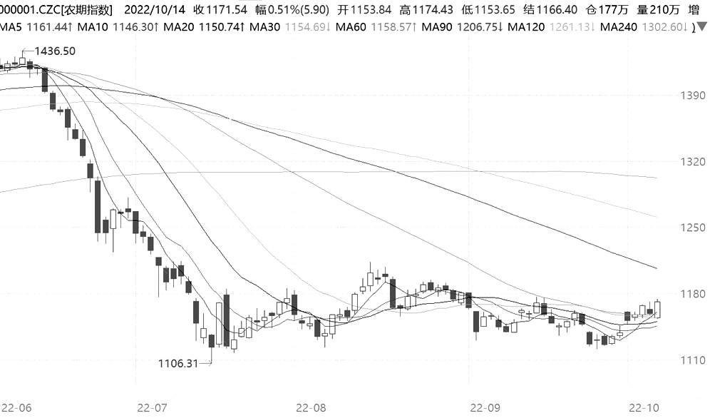 有望集體上行 有望集體上行