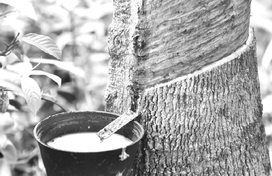 咨詢一下,各個期貨公司保證金一樣嗎,那家好?-RB螺紋鋼期貨交易網