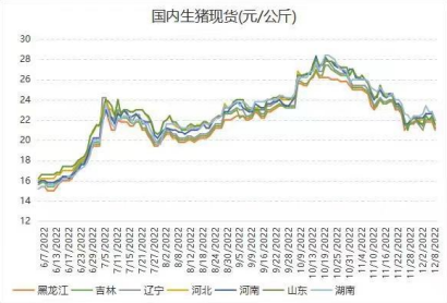 前海期貨公司這家平臺怎么樣？-RB螺紋鋼期貨交易網