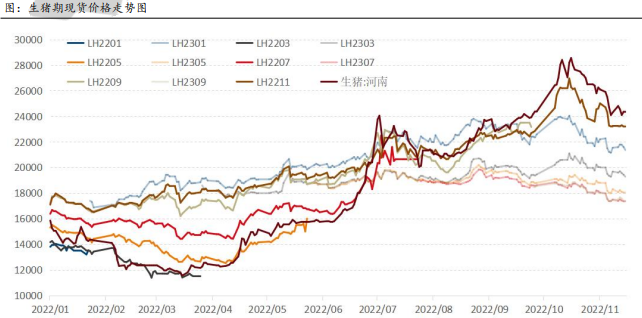 整體消費缺乏亮點 2023年生豬供需將趨于寬松 整體消費缺乏亮點 2023年生豬供需將趨于寬松