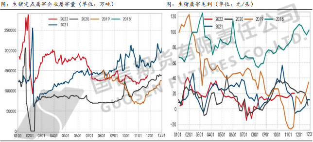 整體消費缺乏亮點 2023年生豬供需將趨于寬松 整體消費缺乏亮點 2023年生豬供需將趨于寬松