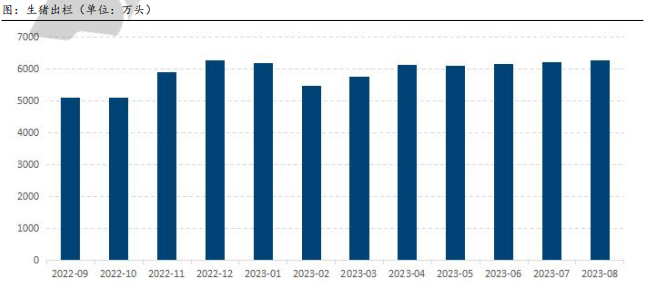整體消費缺乏亮點 2023年生豬供需將趨于寬松 整體消費缺乏亮點 2023年生豬供需將趨于寬松