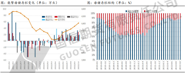 整體消費缺乏亮點 2023年生豬供需將趨于寬松 整體消費缺乏亮點 2023年生豬供需將趨于寬松