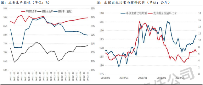 整體消費缺乏亮點 2023年生豬供需將趨于寬松 整體消費缺乏亮點 2023年生豬供需將趨于寬松