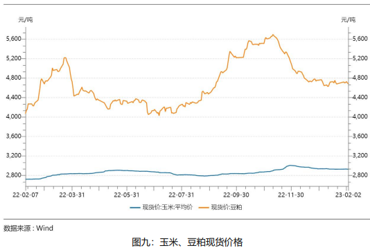雞蛋月報:2月需求將有所轉弱 蛋價或有回落風險 雞蛋月報:2月需求將有所轉弱 蛋價或有回落風險