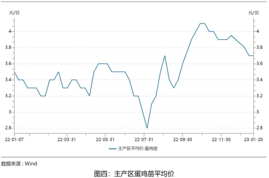 雞蛋月報:2月需求將有所轉弱 蛋價或有回落風險 雞蛋月報:2月需求將有所轉弱 蛋價或有回落風險