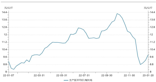 雞蛋月報:2月需求將有所轉弱 蛋價或有回落風險 雞蛋月報:2月需求將有所轉弱 蛋價或有回落風險