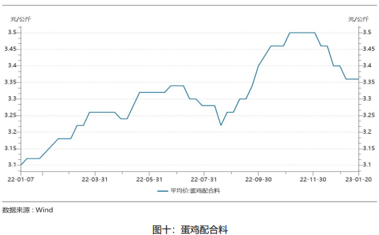 雞蛋月報:2月需求將有所轉弱 蛋價或有回落風險 雞蛋月報:2月需求將有所轉弱 蛋價或有回落風險