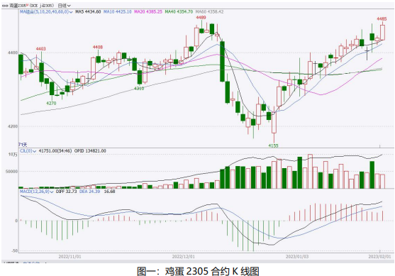 雞蛋月報:2月需求將有所轉弱 蛋價或有回落風險 雞蛋月報:2月需求將有所轉弱 蛋價或有回落風險