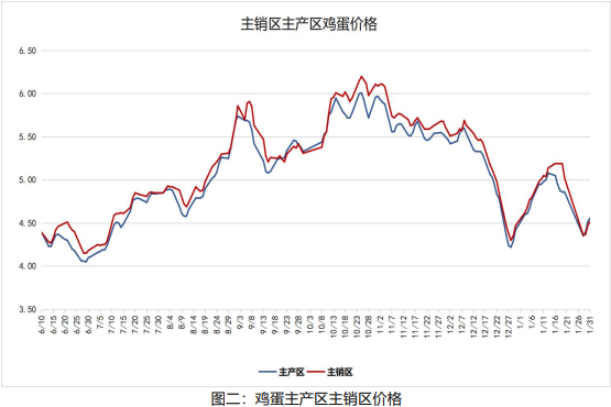 雞蛋月報:2月需求將有所轉弱 蛋價或有回落風險 雞蛋月報:2月需求將有所轉弱 蛋價或有回落風險