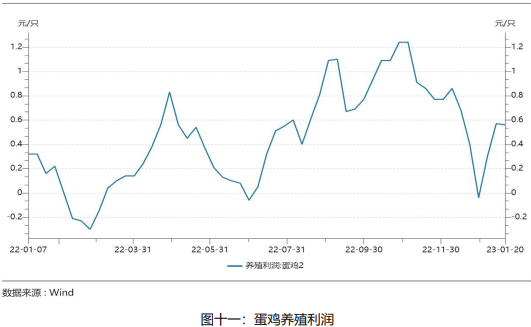 雞蛋月報:2月需求將有所轉弱 蛋價或有回落風險 雞蛋月報:2月需求將有所轉弱 蛋價或有回落風險